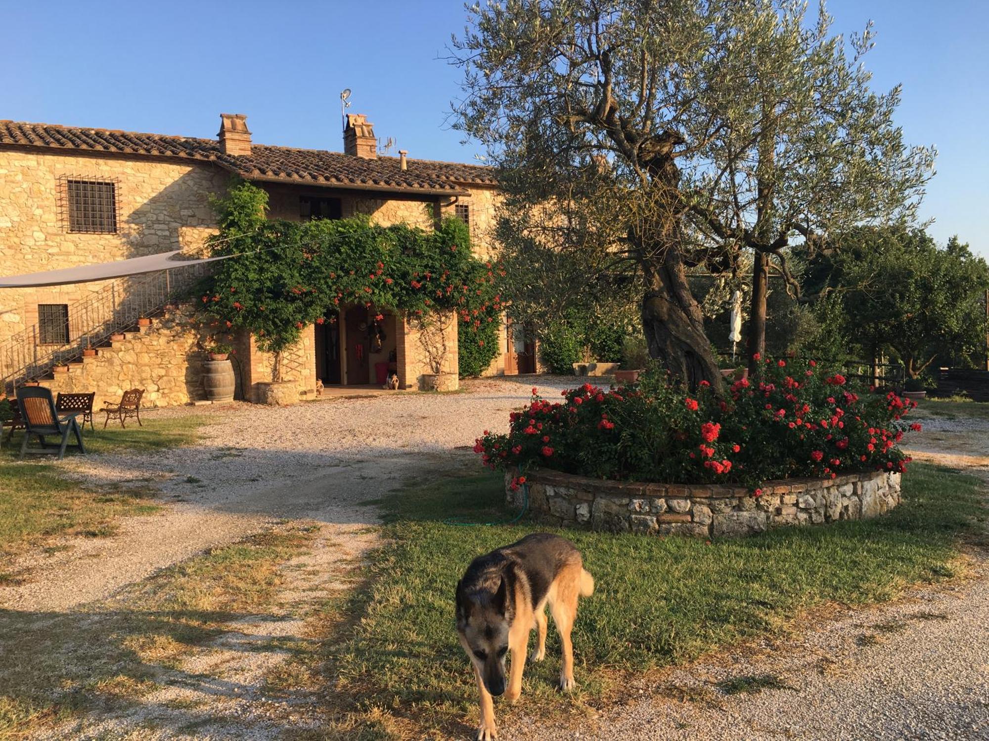 Agriturismo Podere Dell' Olmo Amelia Zewnętrze zdjęcie