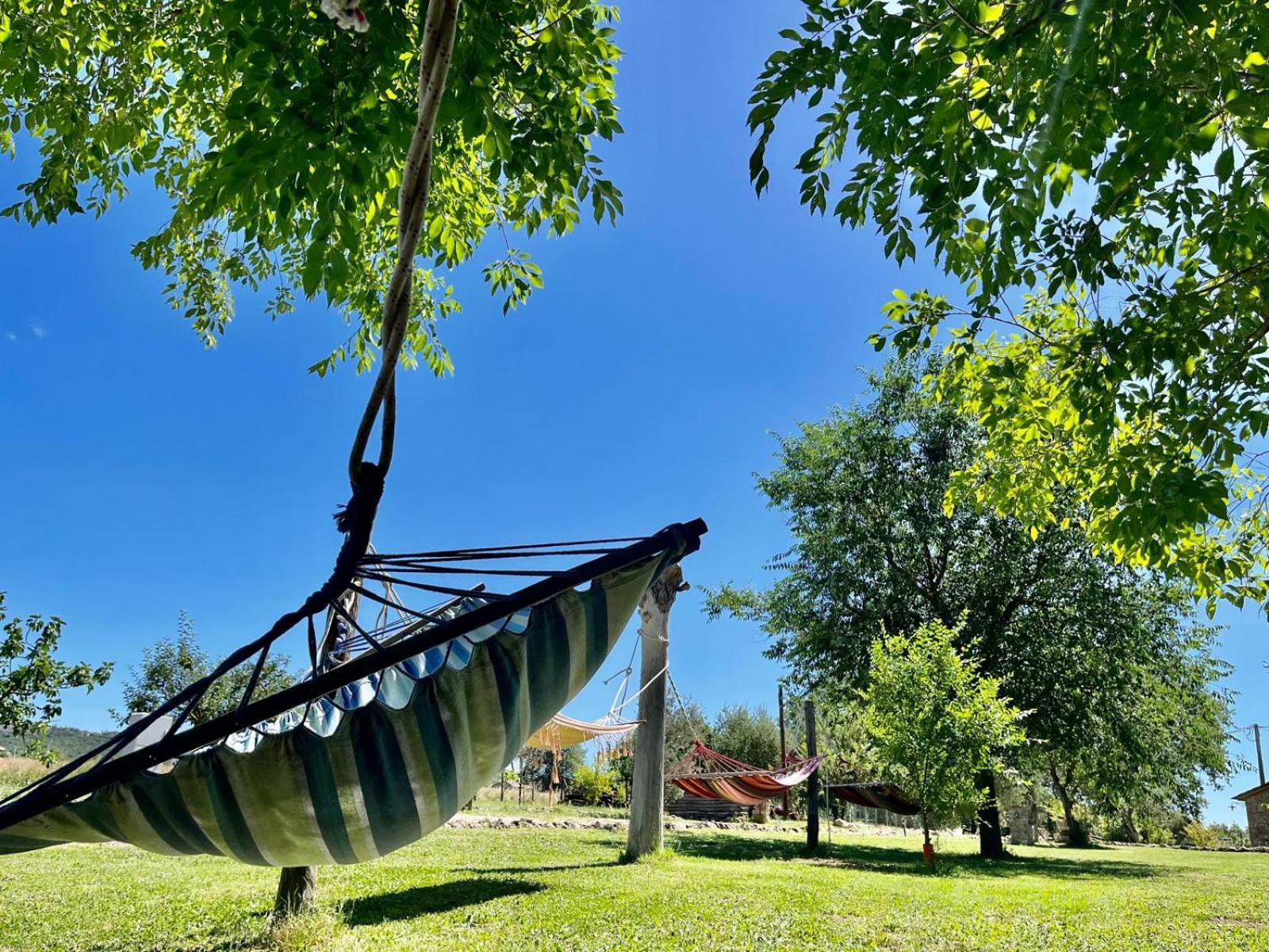 Agriturismo Podere Dell' Olmo Amelia Zewnętrze zdjęcie