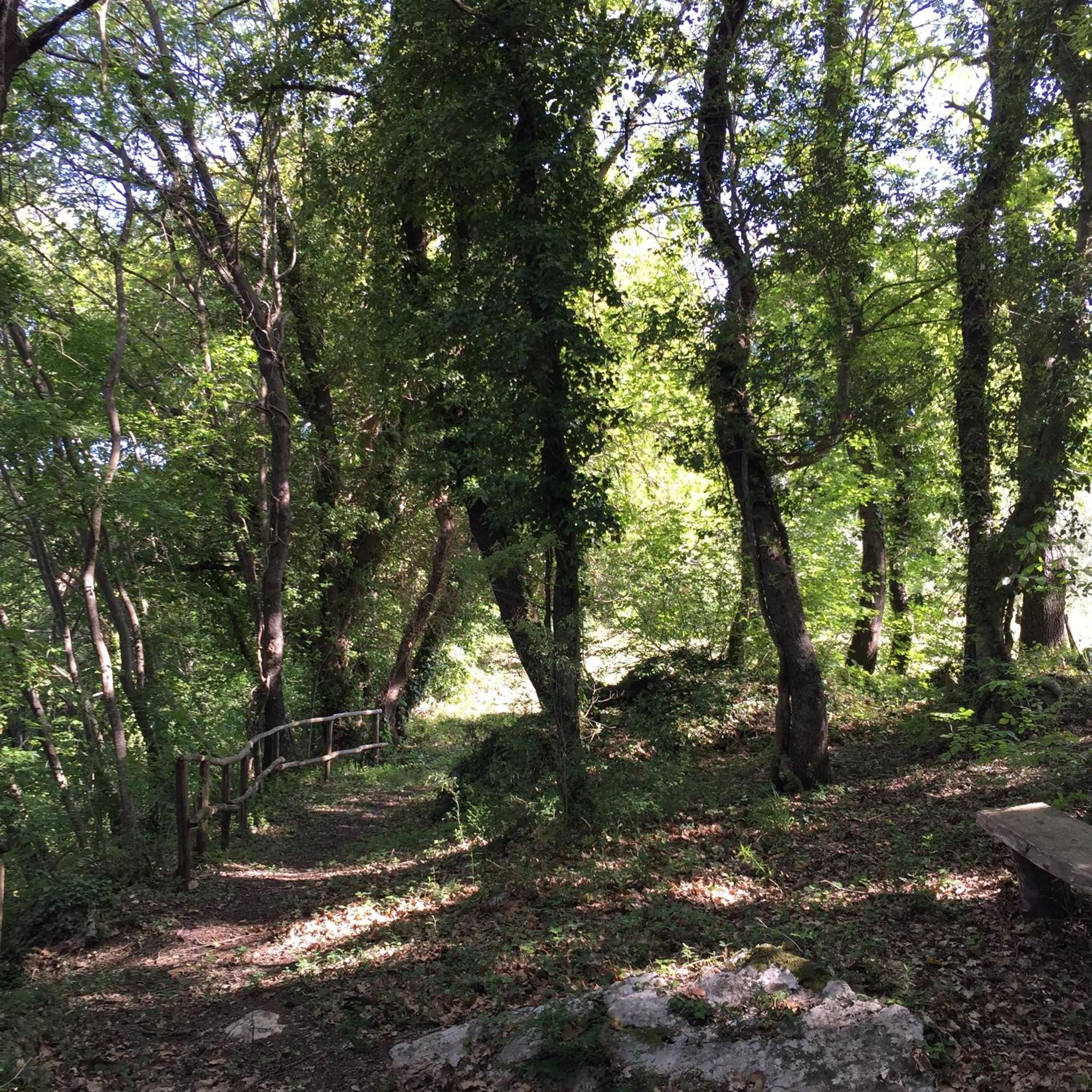 Agriturismo Podere Dell' Olmo Amelia Zewnętrze zdjęcie