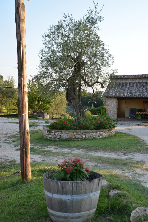 Agriturismo Podere Dell' Olmo Amelia Zewnętrze zdjęcie