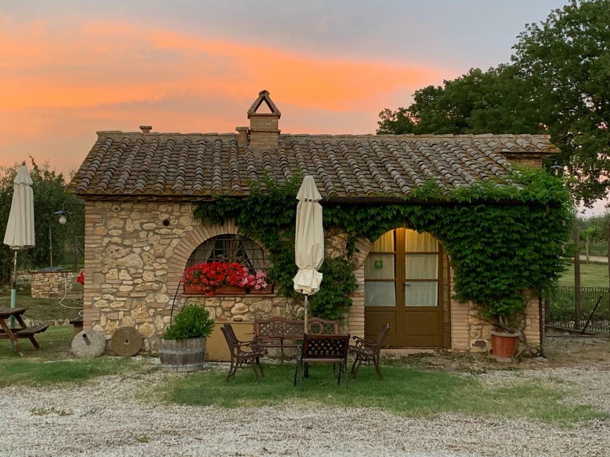 Agriturismo Podere Dell' Olmo Amelia Zewnętrze zdjęcie