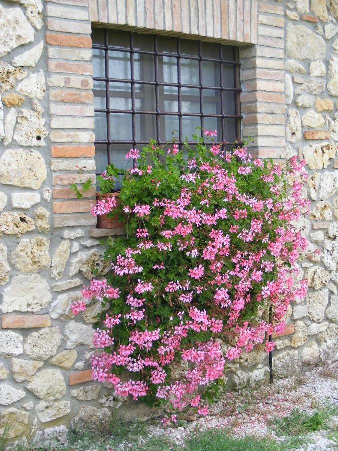 Agriturismo Podere Dell' Olmo Amelia Zewnętrze zdjęcie