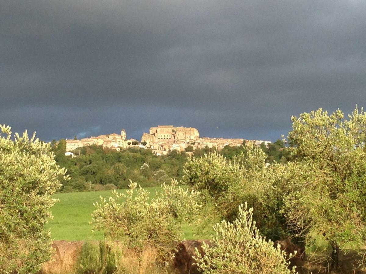 Agriturismo Podere Dell' Olmo Amelia Zewnętrze zdjęcie
